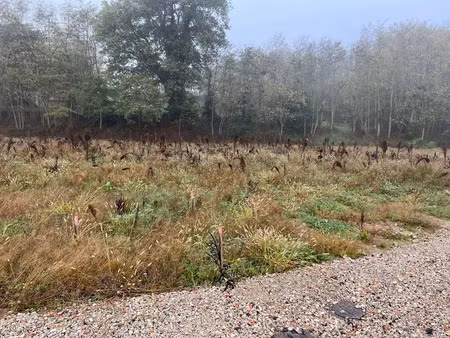 vente terrain 887 m² à branne (33420)  69 000 €