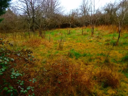 vente terrain à deols (36130)  40 000 €