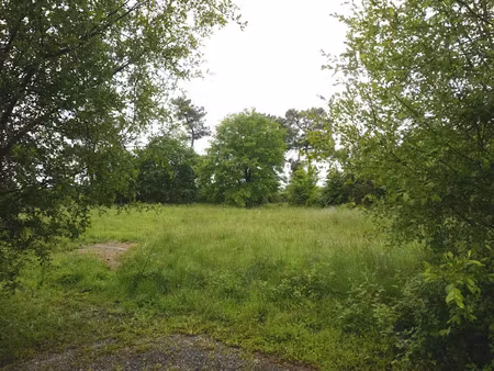 vente terrain 2604 m² à eauze (32800)  42 000 €