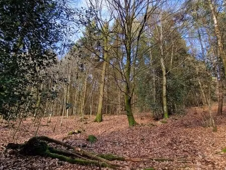terrain 48797 m² geneslay