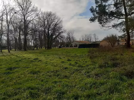 vente terrain 800 m² à vertheuil (33180)  60 000 €