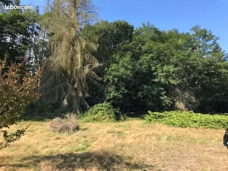 terrain 6 300 m² la ferte saint cyr