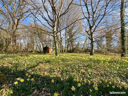 terrain 6 769 m² la ferte saint cyr