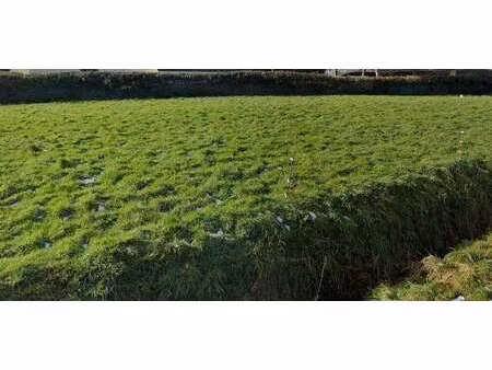 vente terrain à lamballe (22400) : à vendre / 610m² lamballe