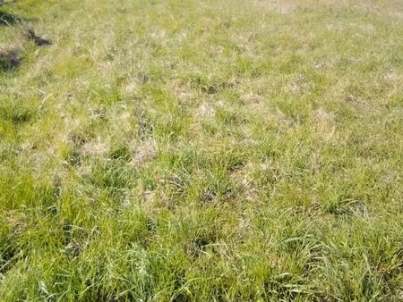 terain a vevdre le seure 17770