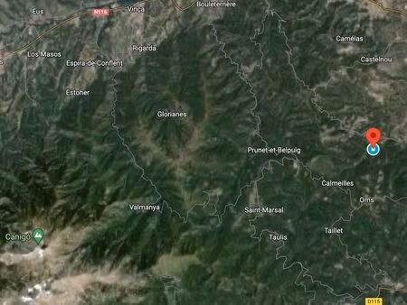 bois  suberaie proche canigou