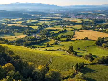 vente terrain 62232m2 pau 64000 - 2973190 € - surface privée