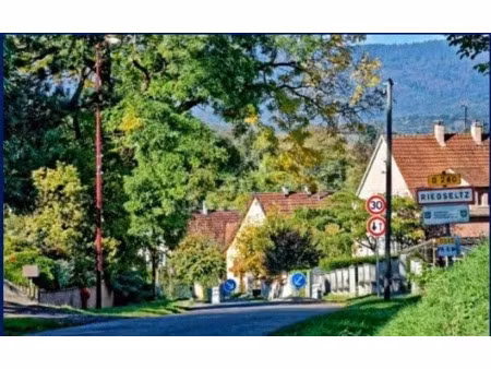 vente terrain 486 m² à riedseltz (67160)  59 000 €