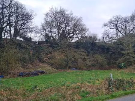 vente terrain à rohan (56580) : à vendre / 8566m² rohan