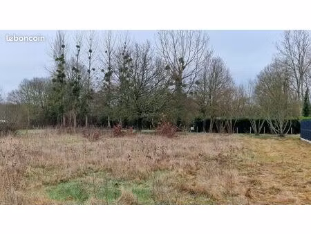 terrain viabilisé de 1147m2