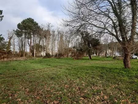 vente terrain 1000 m² à saint-sauveur (33250)  53 000 €