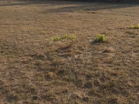 terrain quercy 3795m2