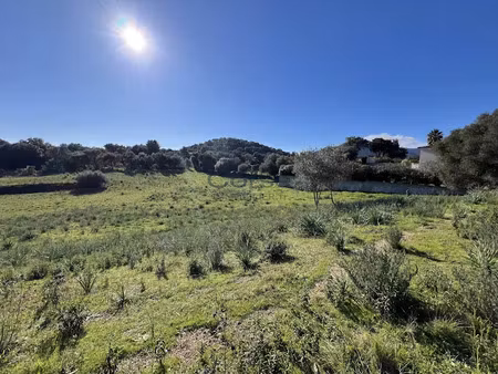 vente terrain à batir à afa (20167)  235 000 €