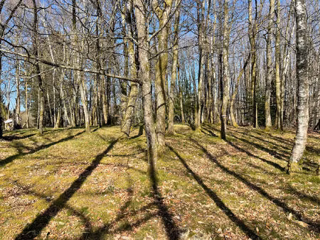 vente terrain 2300 m² ambazac (87240)