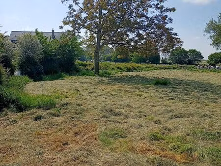 terrain à bâtir