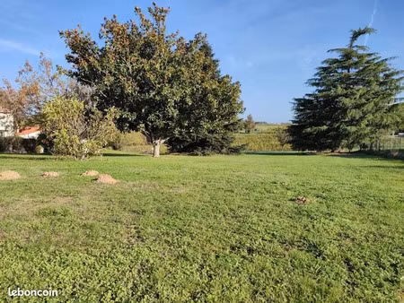 vente terrain 500 m² à cadillac-sur-garonne (33410)  69 000 €