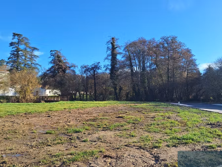 carignan de bordeaux