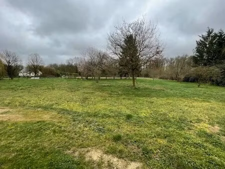 exclusivite - terrain constructible - clere les pins