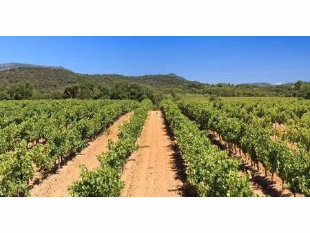 terrain de 4000 m2 - cogolin  france