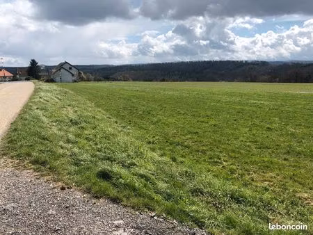 terrain 12 21 ares constructible à dannelbourg