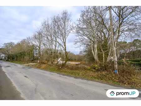 vente terrain 1209 m² férel (56130)