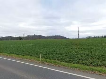 --- sous option --- beau terrain plat