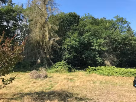 vente terrain à batir 6300 m² à la ferté-saint-cyr (41220)  90 000 €