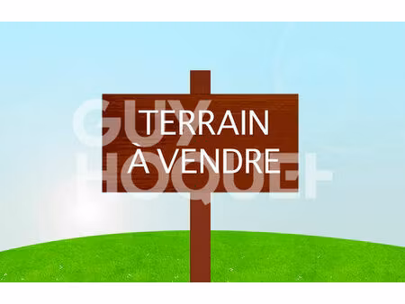 terrain constructible
