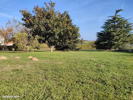 vente terrain 485 m² à montussan (33450)  99 000 €
