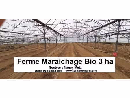 en vente terrain constructible 300 ares – 262 000 € |nancy