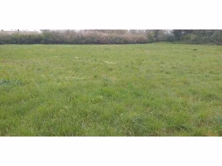 terrain constructible viabilisé à pleumartin