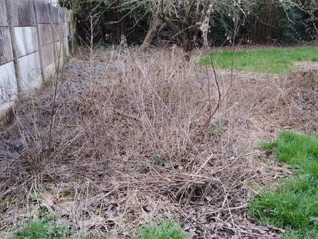 terrain constructible centre bourg 714 m2