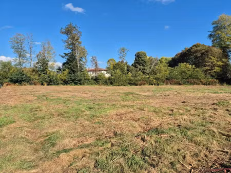 vente terrain 1678 m² à rion-des-landes (40370)  75 000 €