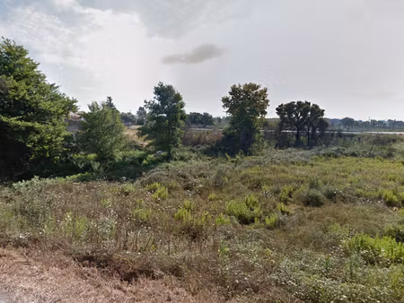 vente terrain à batir 4280 m² à solaro (20240)  185 600 €