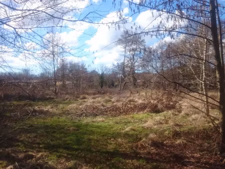 vente terrain 650 m² à vertheuil (33180)  40 500 €