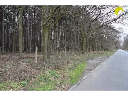 grond te koop in wachtebeke