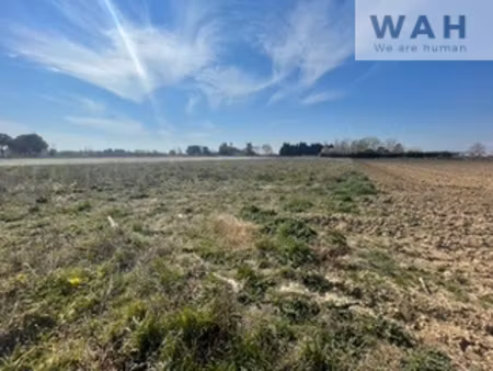 mauguio : terrain agricole de 6463m2