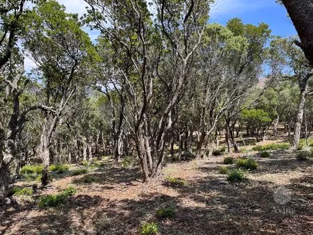terrain non constructible massif de l'esterel