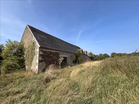 vente maison 2 pièces saint-maur (18270)