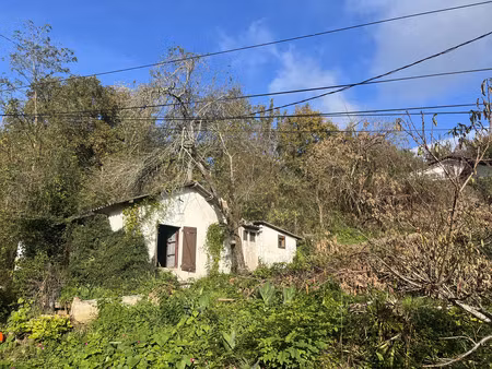 vente terrain ispoure 64220 - - surface privée