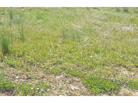 vente terrain méharin 64120 - 39000 € - surface privée