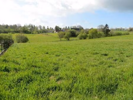 vente terrain à saint-quentin-les-chardonnets (61800) : à vendre / 1000m² saint-quentin-le