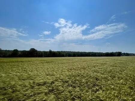 terrain en zone zacc