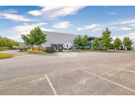 rare - batiment logistique independant