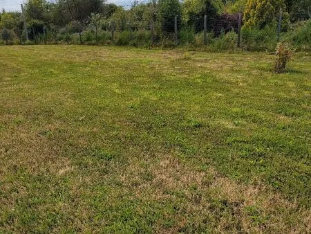 terrain constructible