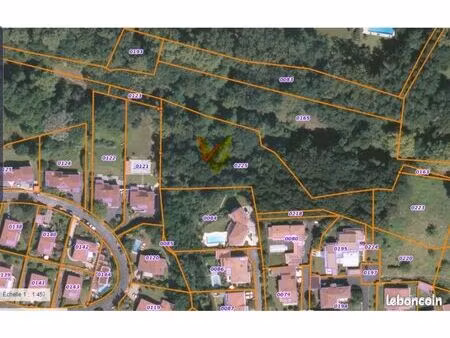 forêt 4400m2 biarritz non constructible