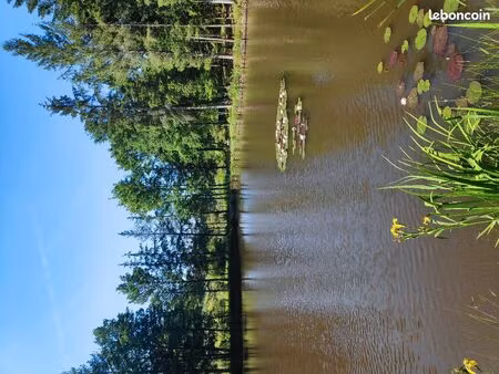 terrain avec 4 étangs