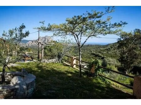 villa de luxe en vente santo-pietro-di-tenda  corse