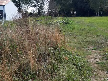 vente terrain au bernard (85560) : à vendre / le bernard