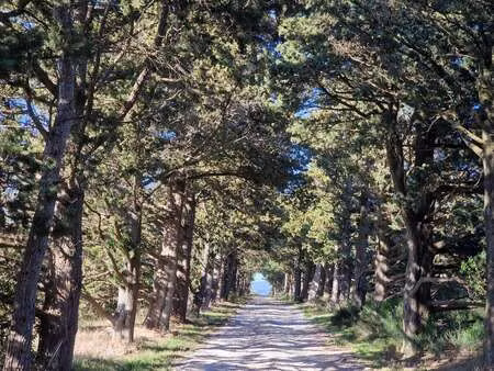 maison de luxe à vendre à corbières : 1 908 000 € | 1000m²